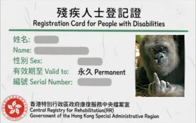 hk白卡