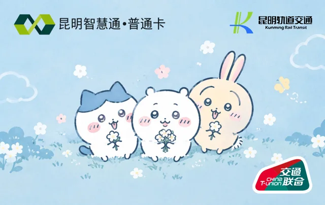 昆明智慧通CHIIKAWA
