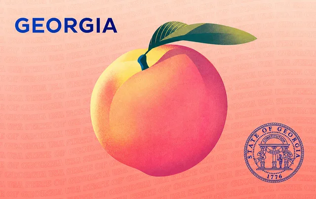 Georgia Digital ID