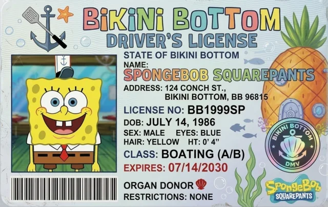 Spongebob Squarepants | BiKiNi BoTToM | Drives's License