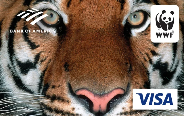 Bank of America Cash Rewards Visa (WWF)