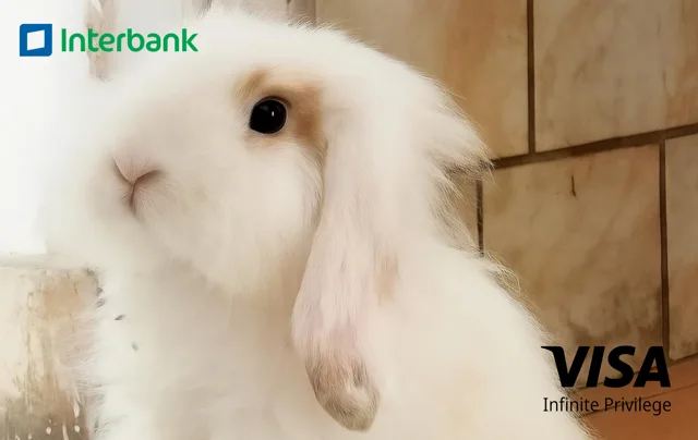 Interbank · coco