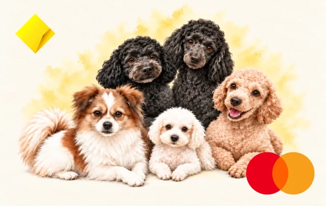 Commonwealth Bank (CommBank) · 小狗之家