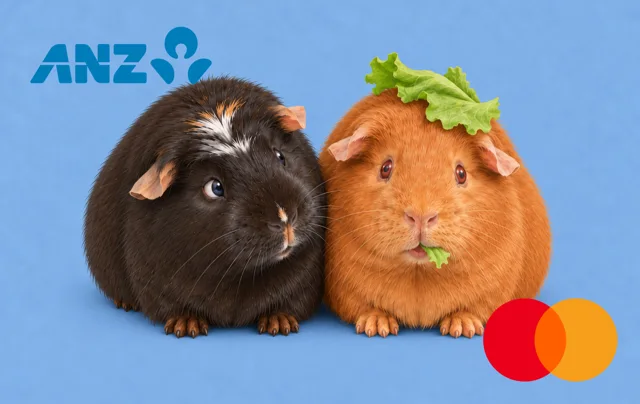 ANZ · 荷兰猪:猪猪&臭臭